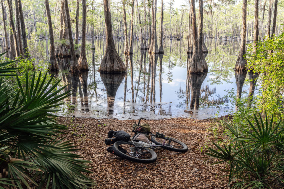 Eastern Divide Trail (S8): Cypress