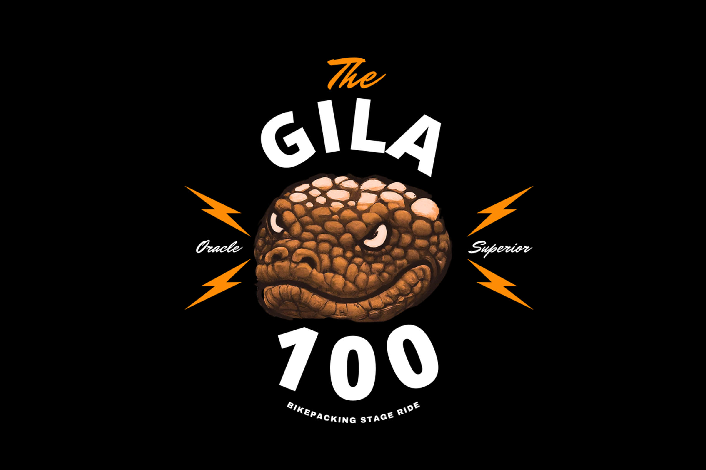 Gila 100