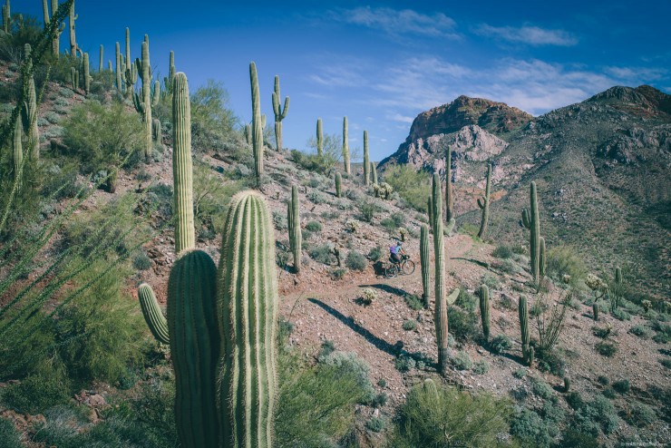 Gila River Ramble, Bikepacking Arizona