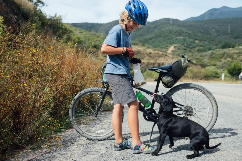 Sage, Befriender of Feral Dogs