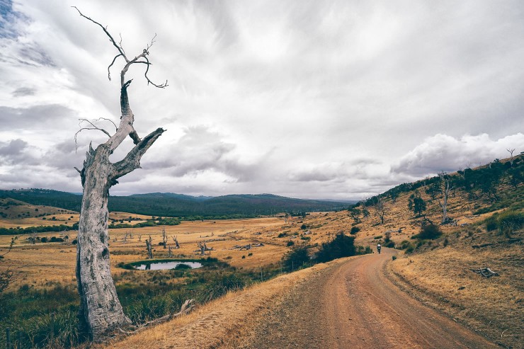 The Tasmanian Trail