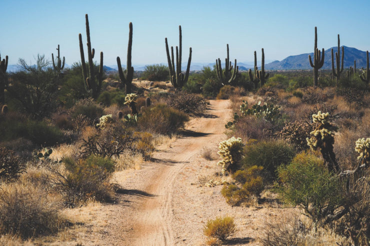 The Fool's Loop, Gravel Bikepacking Route, Arizona